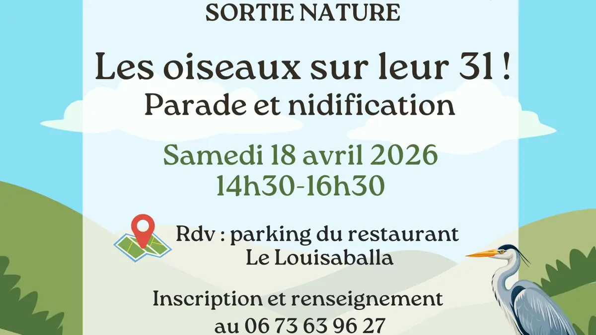 Sortie Nature : Les oiseaux sur leur 31