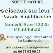 Sortie Nature : Les oiseaux sur leur 31