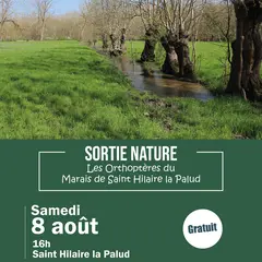 Sortie nature : Les Orthoptères du Marais de Saint-Hilaire-la-Palud