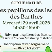 Sortie nature : Les papillons des lacs des Barthes