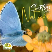 Sortie Nature - Les Petites Bêtes