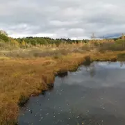 Sortie nature : Les Tourbières du Limousin et l'étang Bourdeau