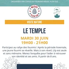 Sortie nature. LPO, Ciné- débat film - Les espèces mal-aimées (pigeons pies chauves-souris)