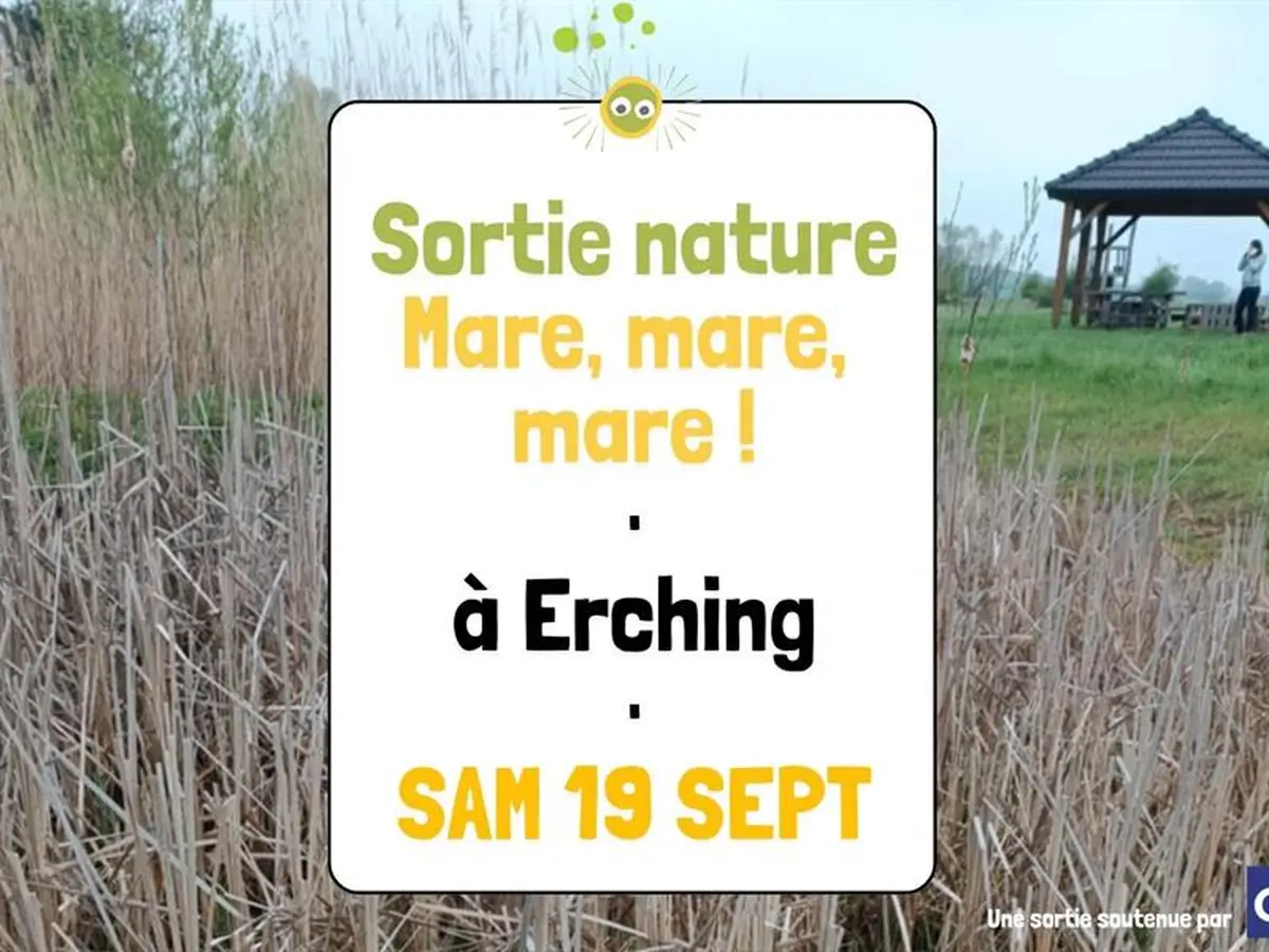 Sortie nature - Mare, mare, mare