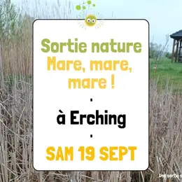 Sortie nature - Mare, mare, mare
