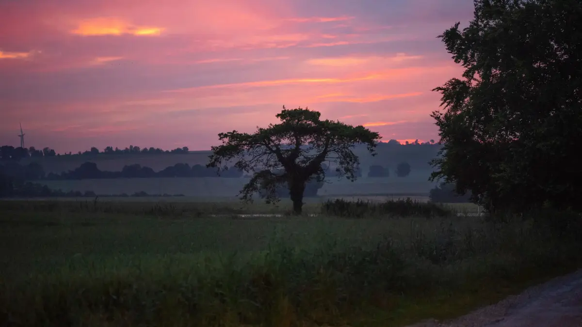Sortie Nature : Observons, écoutons la faune nocturne des Monts d'Éraines