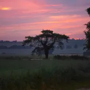 Sortie Nature : Observons, écoutons la faune nocturne des Monts d'Éraines