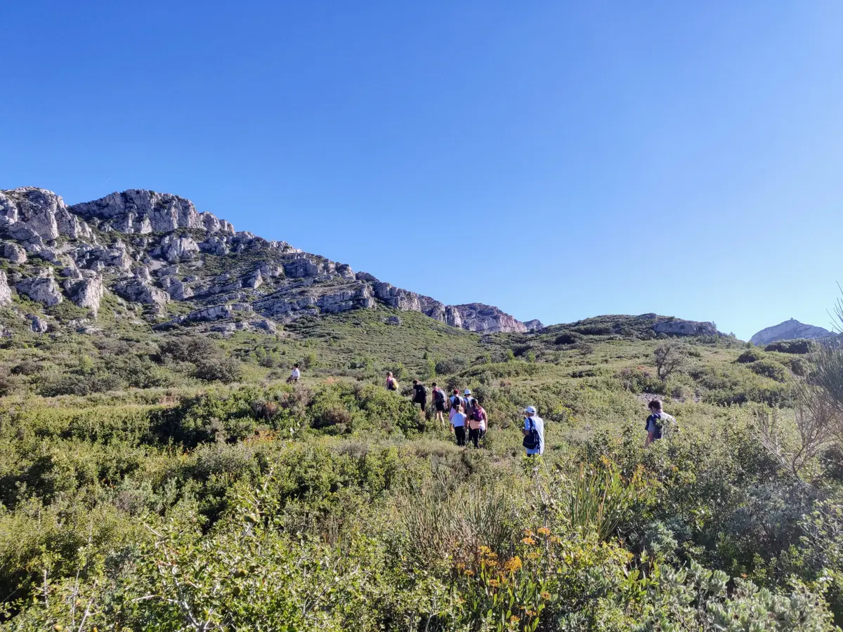Sortie nature : Paysage des Alpilles qui es-tu ? ?