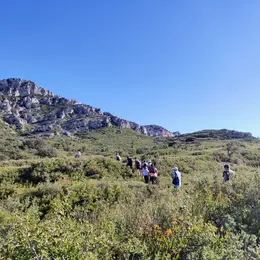 Sortie nature : Paysage des Alpilles qui es-tu ? ?