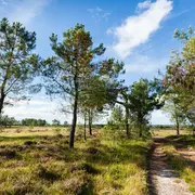 Sortie nature : Petit aventurier dans la lande