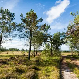 Sortie nature : Petit aventurier dans la lande