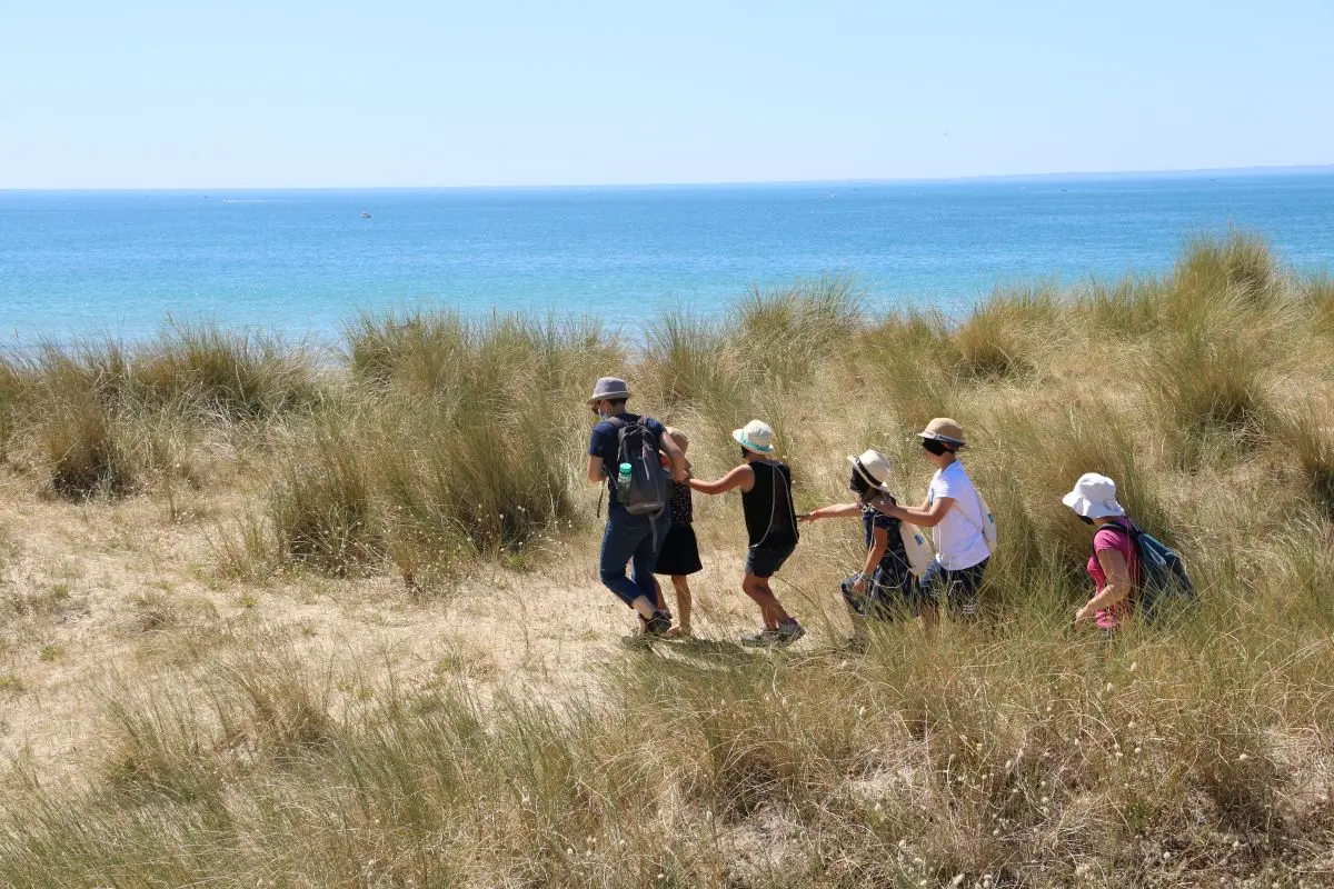 Sortie nature : Petit aventurier dans les dunes