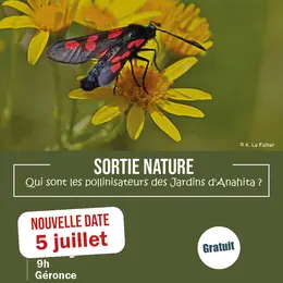 Sortie nature : Qui sont les pollinisateurs des Jardins d'Anahita ?