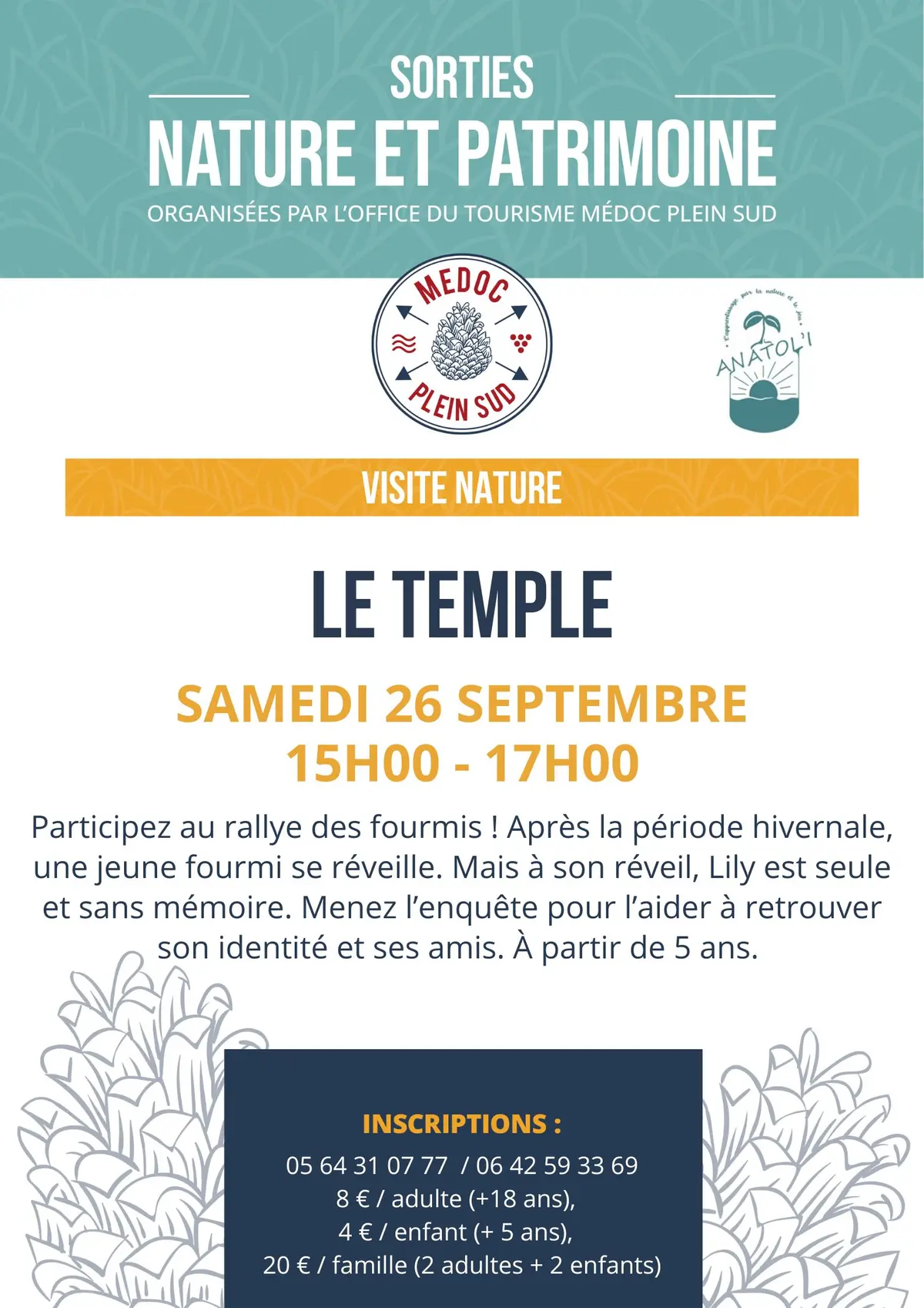 Sortie nature. Rallye des fourmis