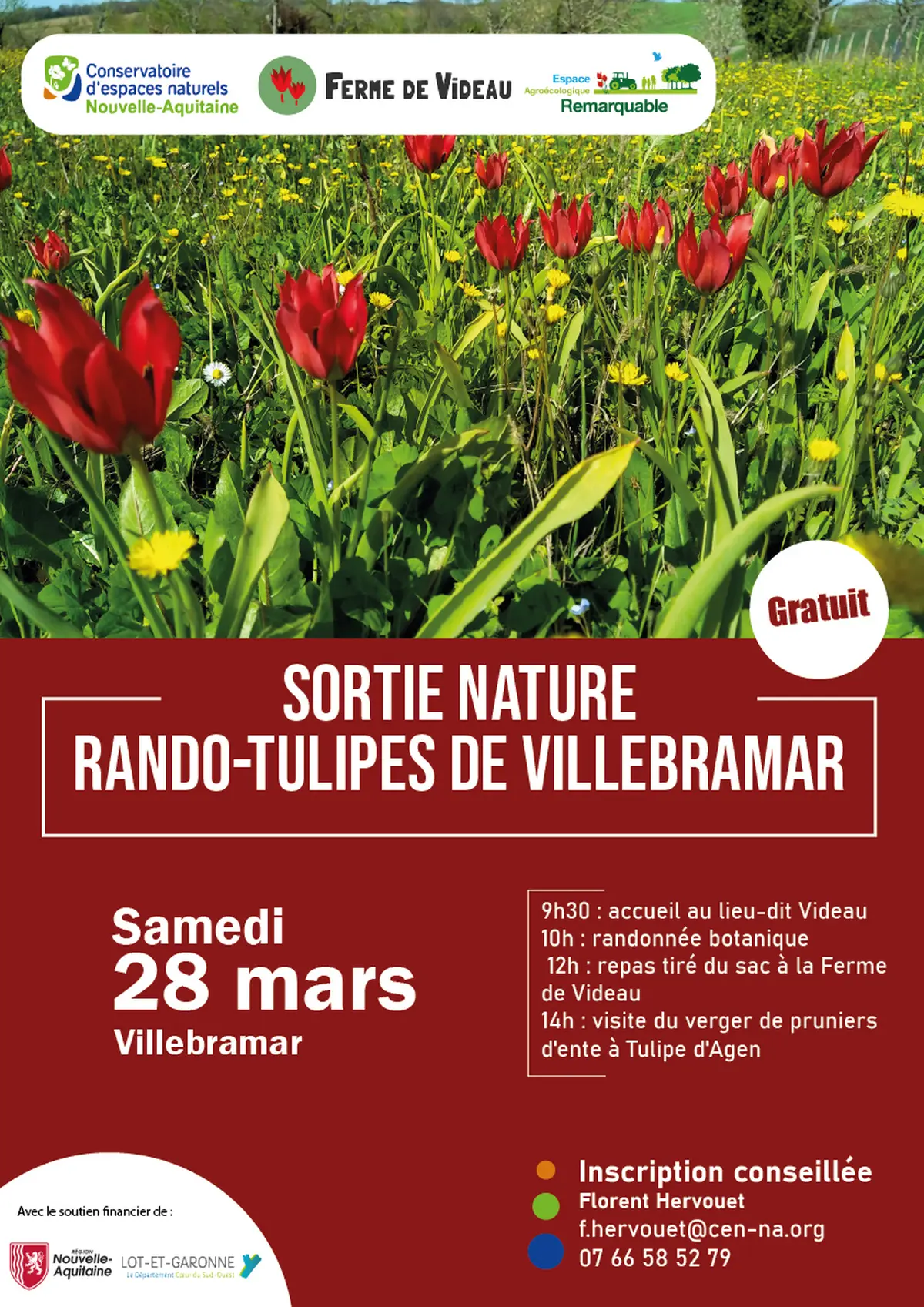 sortie nature : Rando-tulipes de Villebramar