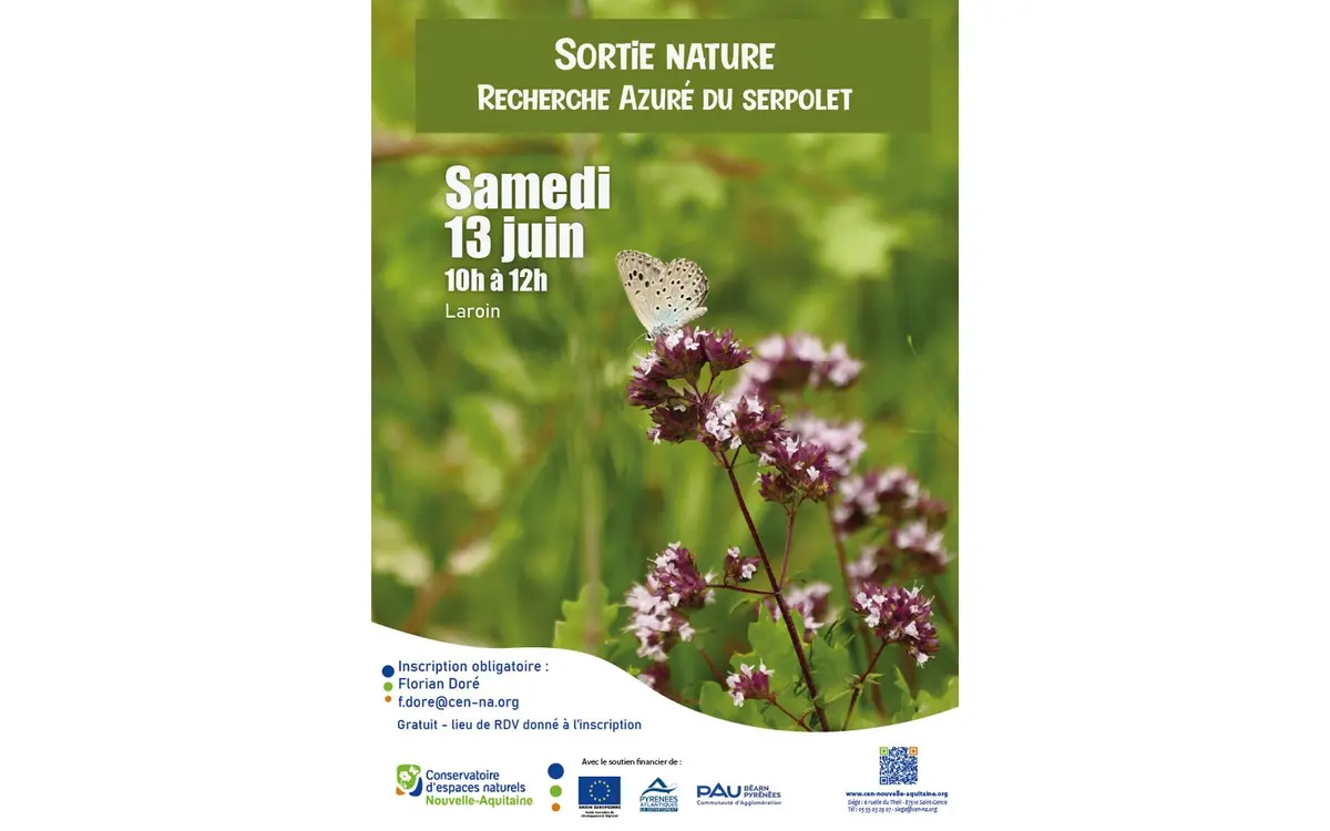Sortie nature: recherche azurée du Serpolet