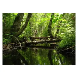 Sortie nature - Saligue secrète, une vie animale