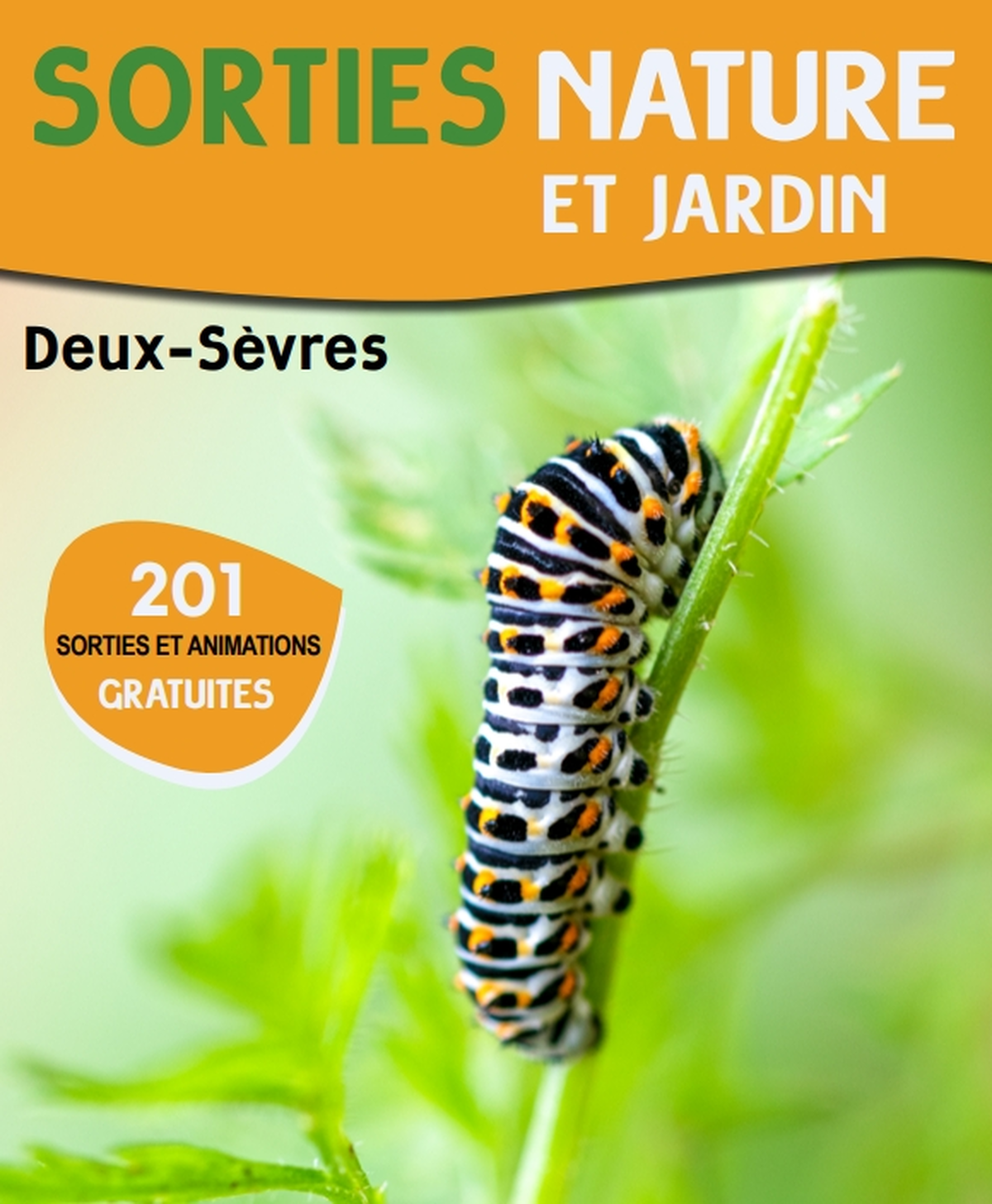 Sortie nature - Soirée chauve-souris
