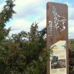 Sortie nature sur la lande des Pierres du Mas