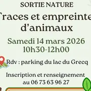 Sortie nature : Sur les traces et empreintes d'animaux