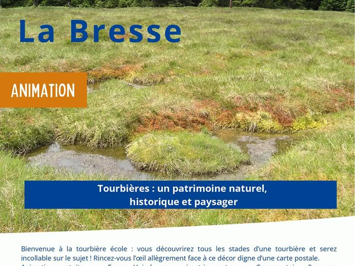 Sortie nature  Tourbières : un patrimoine naturel, historique et paysager