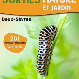 Sortie nature - Tous à la pépi