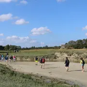 Sortie nature : Traversée du havre de l'Ay