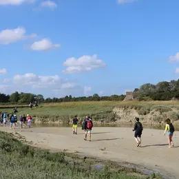 Sortie nature : Traversée du havre de l'Ay