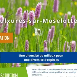 Sortie nature - Une diversité de milieux pour une diversité d'espèces