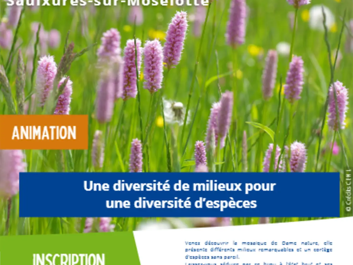 Sortie nature Une diversité de milieux pour une diversité d'espèces