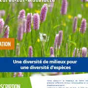 Sortie nature Une diversité de milieux pour une diversité d'espèces