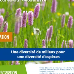 Sortie nature Une diversité de milieux pour une diversité d'espèces