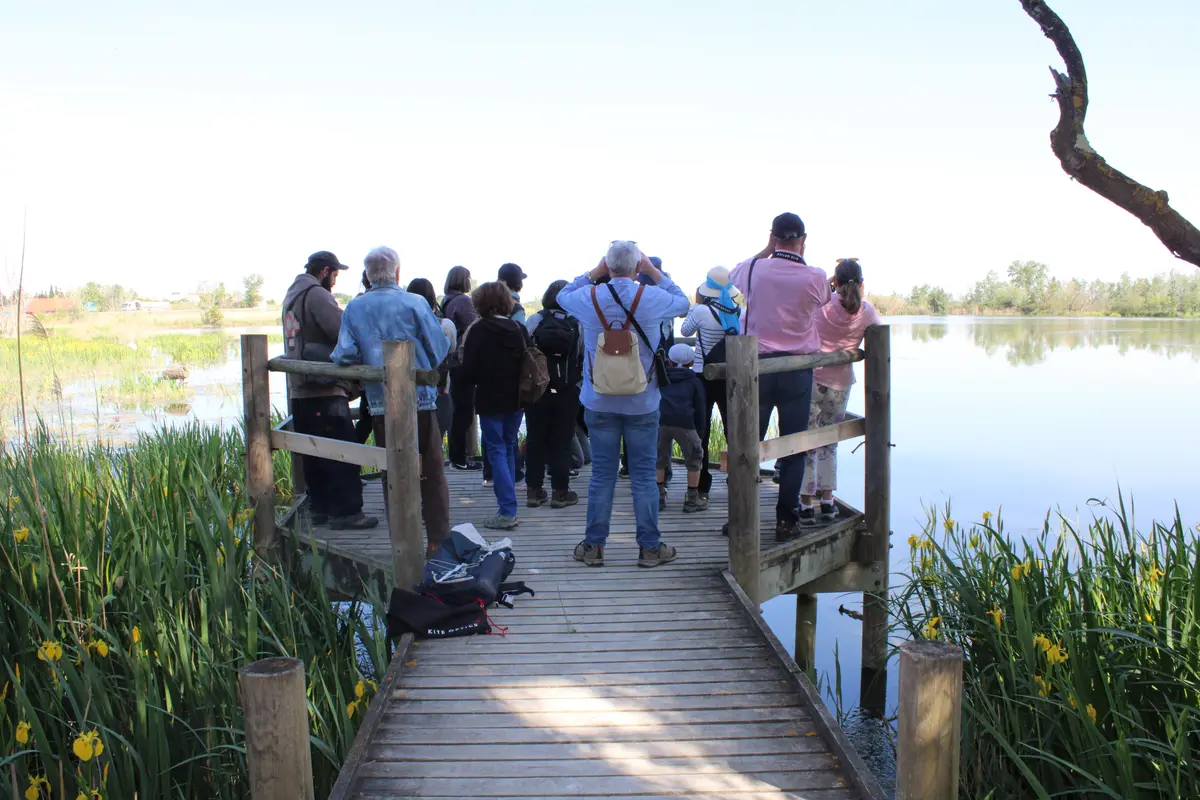 Sortie nature : Visite des marais de Beauchamp