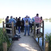 Sortie nature : Visite des marais de Beauchamp