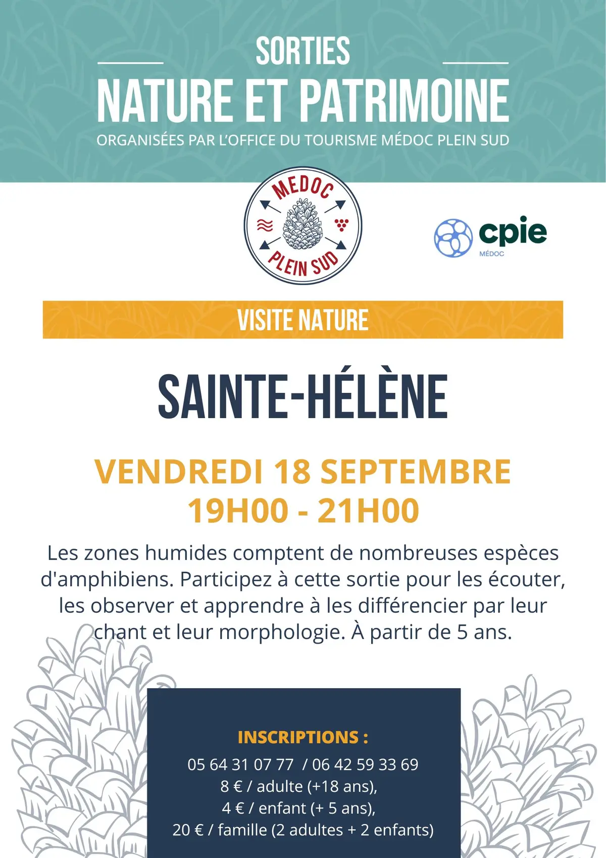 Sortie nature. Visite nature  « Un dragon !  Dans mon jardin ? »