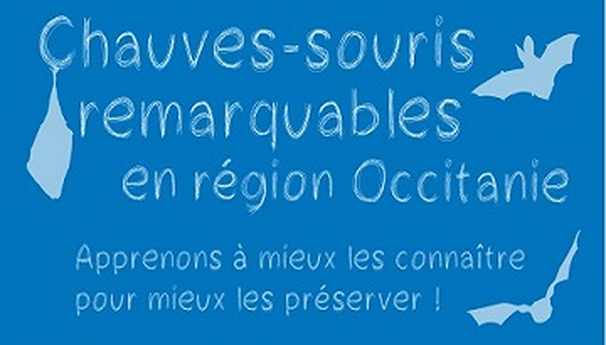 Sortie Nocture Lpo 66 Pays Catalan Observation Des Chauves-Souris Avec Carla