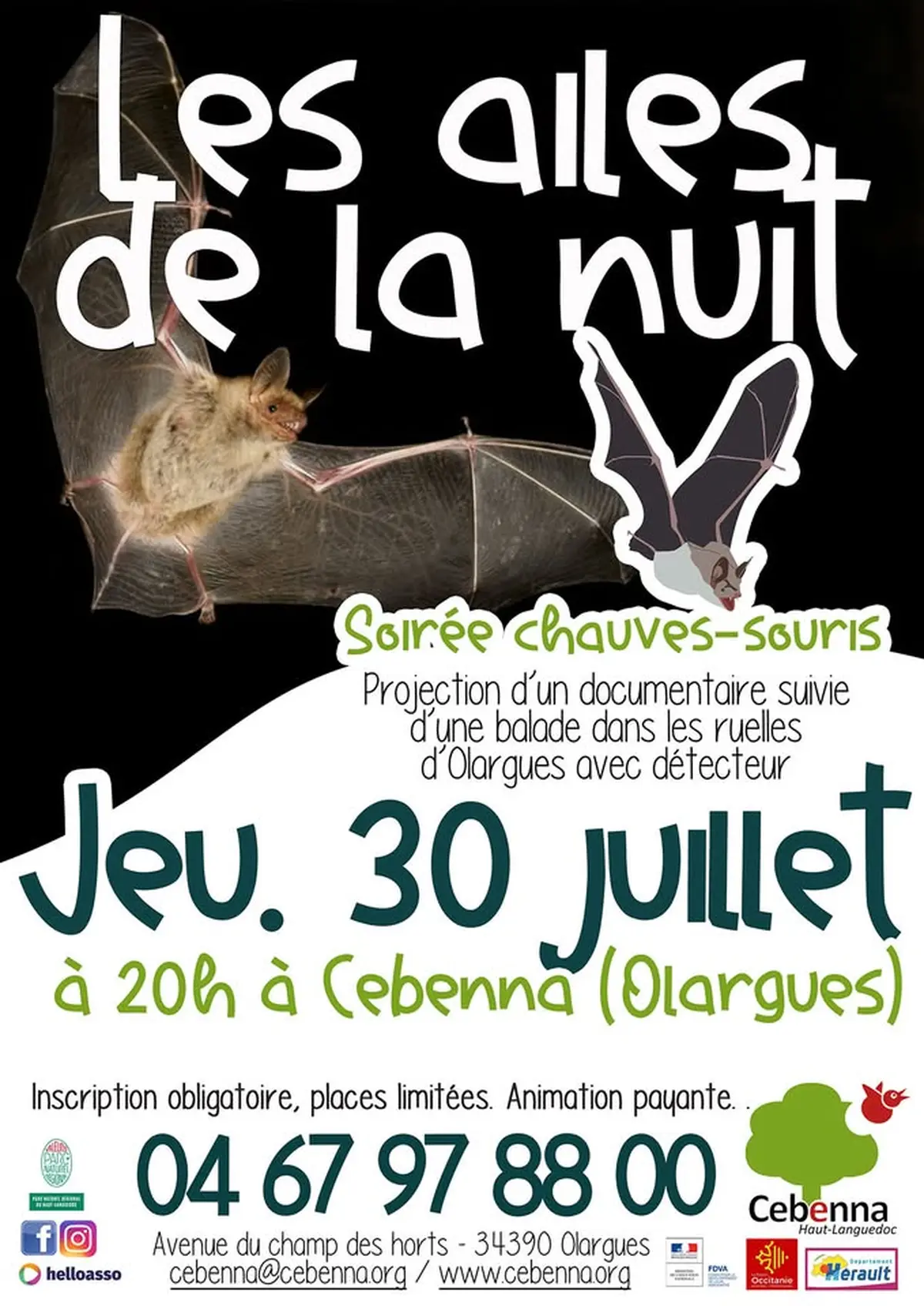 Sortie Nocturne : Chauve Qui Peut !