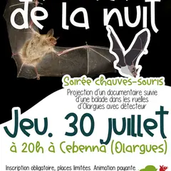 Sortie Nocturne : Chauve Qui Peut !