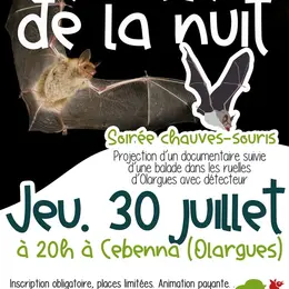 Sortie Nocturne : Chauve Qui Peut !