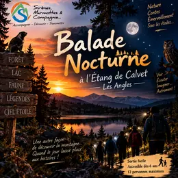 Sortie Nocturne D'Halloween