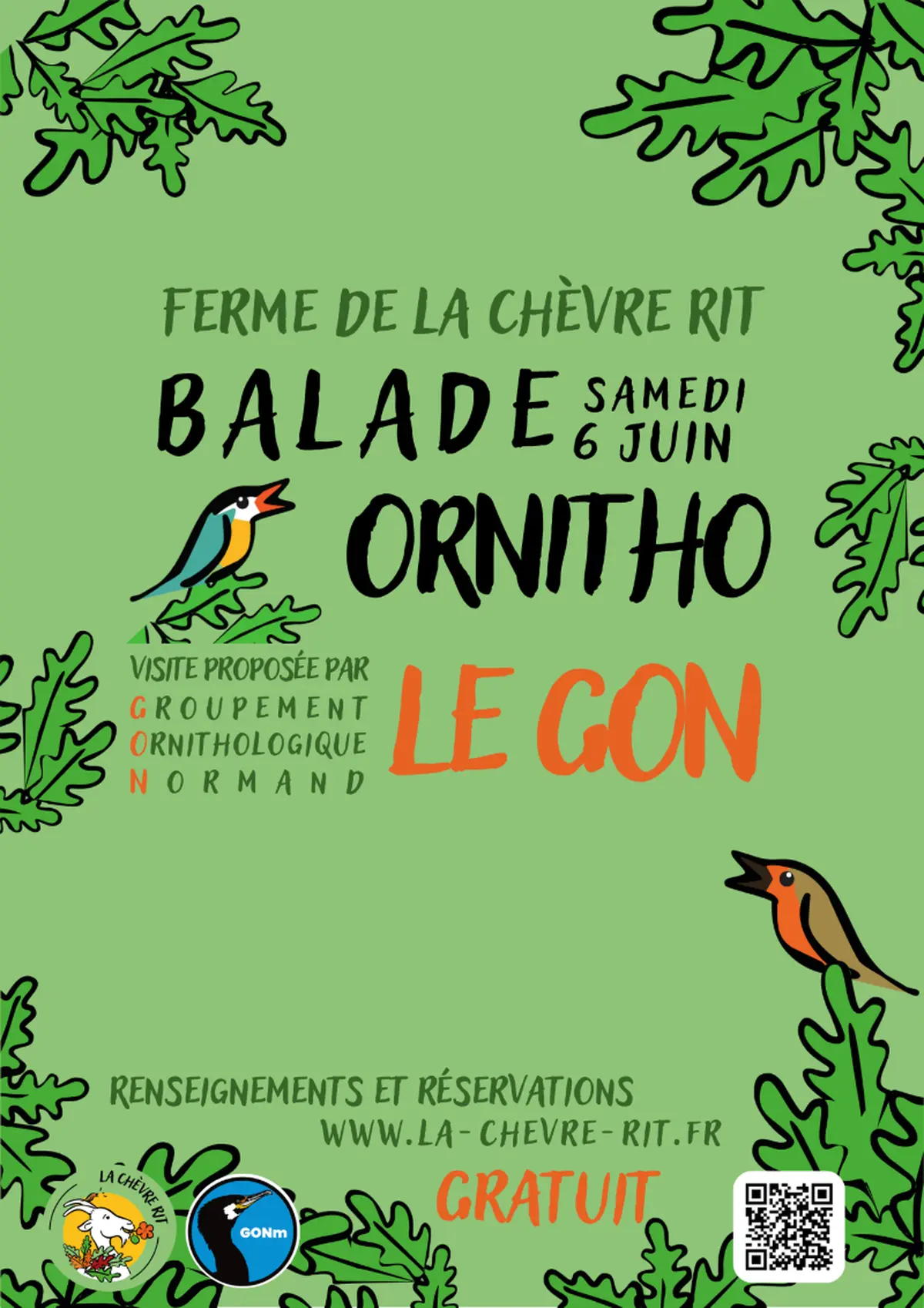 Sortie Ornitho - Découvrir les oiseaux du bocage