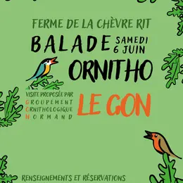 Sortie Ornitho - Découvrir les oiseaux du bocage