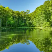Sortie ornithologique au lac de Sargaillouse