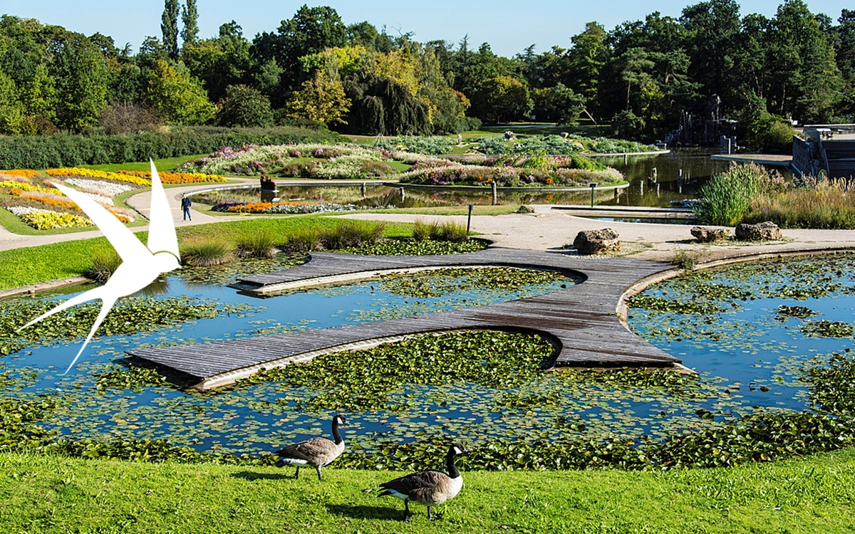 Sortie ornithologique au Parc Floral de Paris