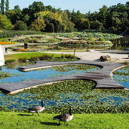 Sortie ornithologique au Parc Floral de Paris