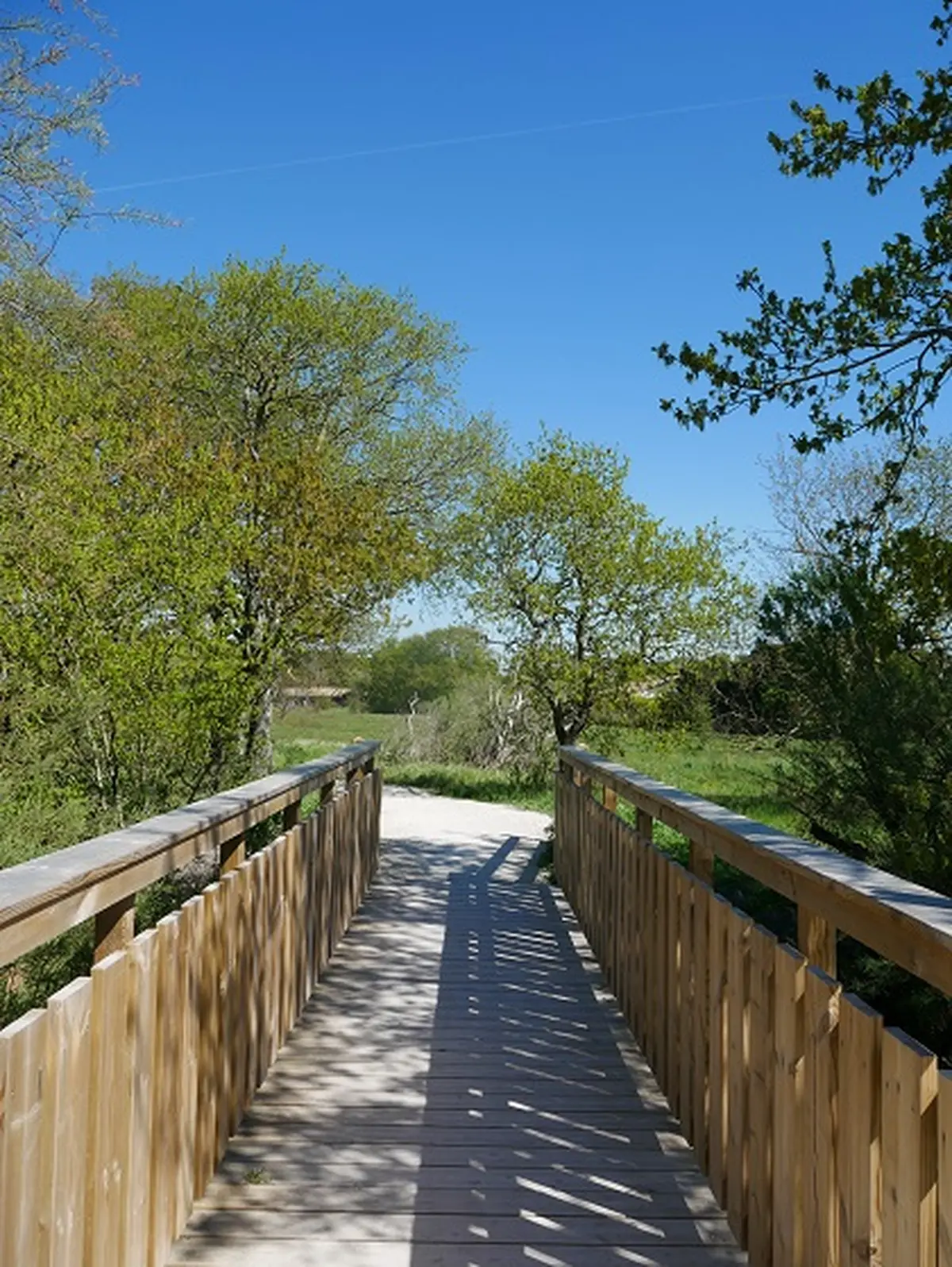 Sortie participative - le papillon de nuit