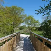Sortie participative - le papillon de nuit