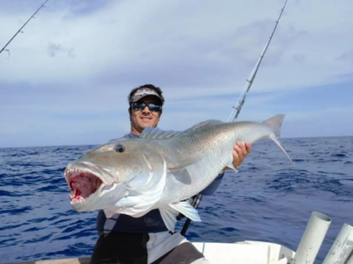 Sortie pêche au gros en bateau à La Réunion