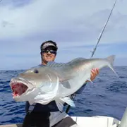 Sortie pêche au gros en bateau à La Réunion