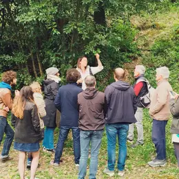 Sortie plantes sauvages comestibles